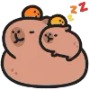 Capybara emoji 😴