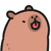 Capybara emoji 😛