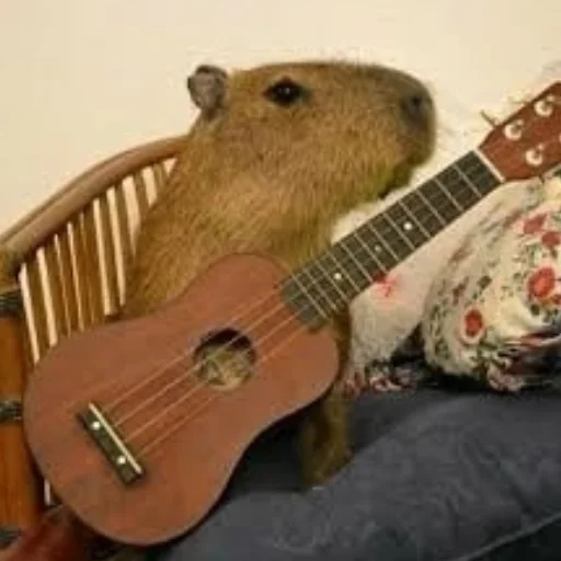 Эмодзи CapybaRa 🎸
