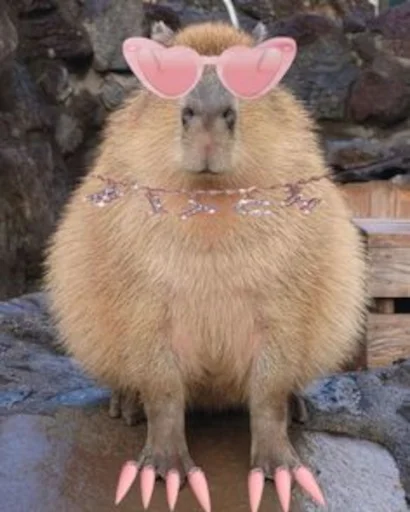 Capybara emoji 💅