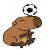 Эмодзи capybara ⚽️