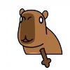 Эмодзи capybara 👍