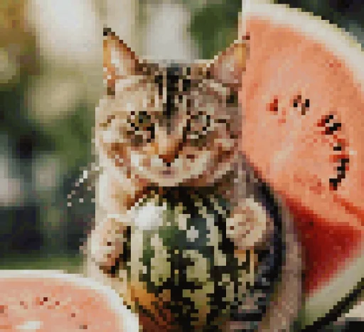 Cat And Watermelon stiker 🍉
