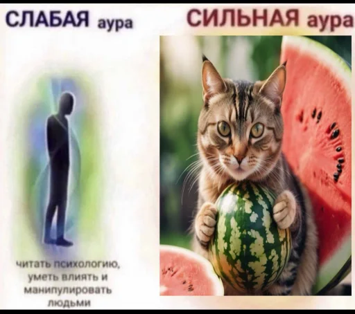 Эмодзи Cat And Watermelon 🍉