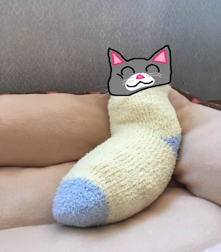 Стікер Telegram «Cat Fren» 😳