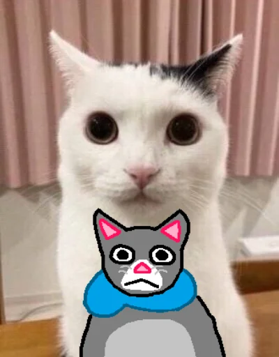 Стикер Telegram «Cat Fren» 🐱
