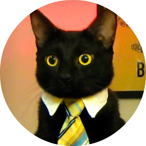 Telegram Sticker «Котики и Кошечки» 