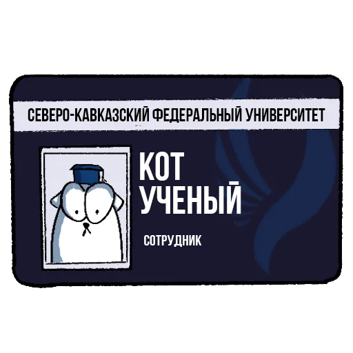 Telegram stiker «Cat NCFU» 🪪