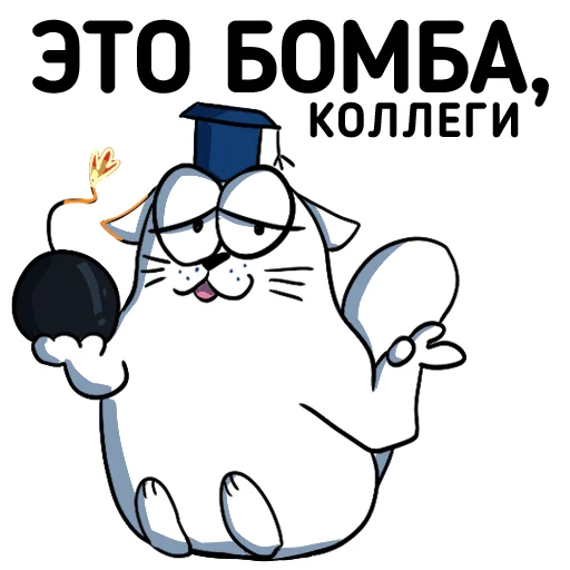 Стікер Telegram «Cat NCFU» 💣