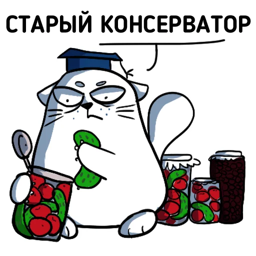 Telegram stiker «Cat NCFU» 🥫