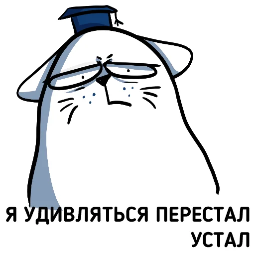 Telegram Sticker «Cat NCFU» 😩