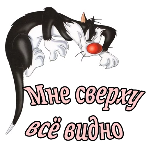 Стикер Кот Сильвестр  😠