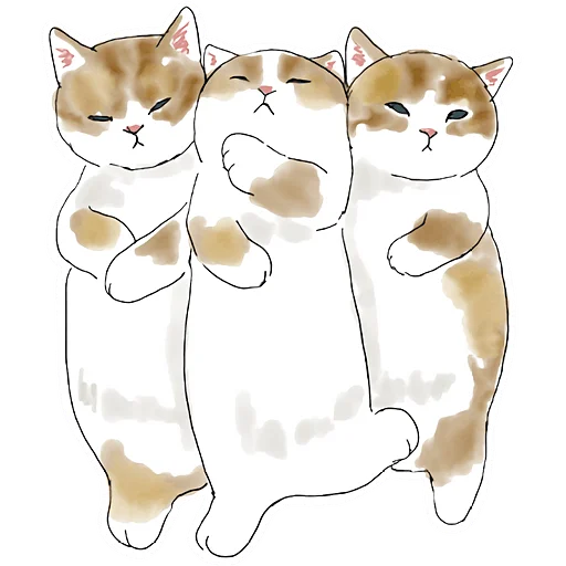 Telegram stiker «Cats | Котики» 😴
