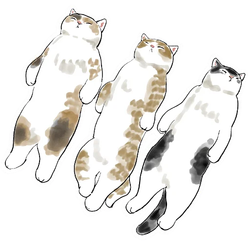 Cats | Котики sticker 😴