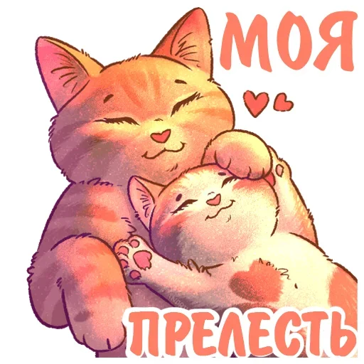 Telegram stiker «Котики и фразочки» 😻