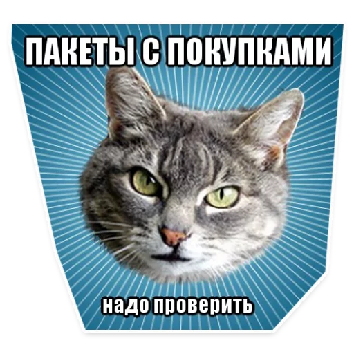 Telegram stiker «? Мемы с Котом» 