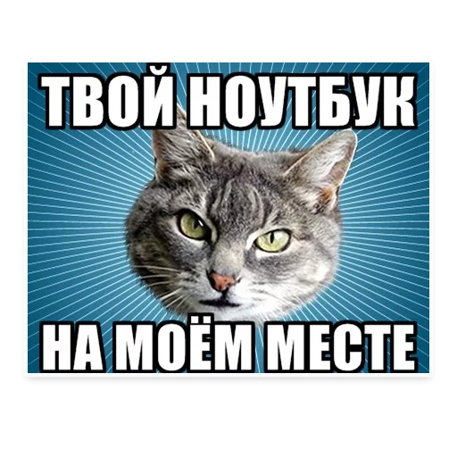 Telegram Sticker «? Мемы с Котом » 😡