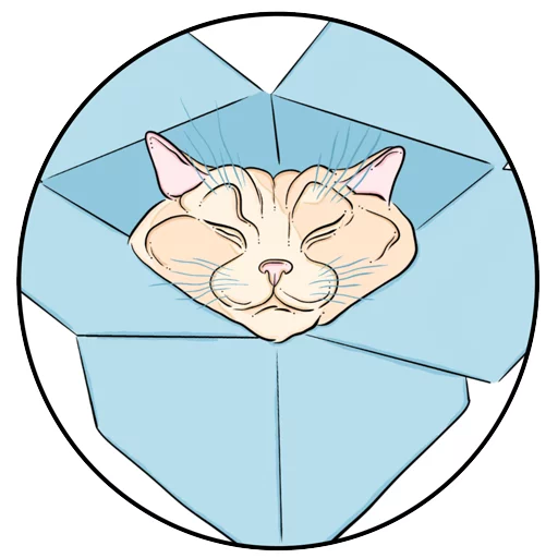 Telegram stiker «Catsы» 📦