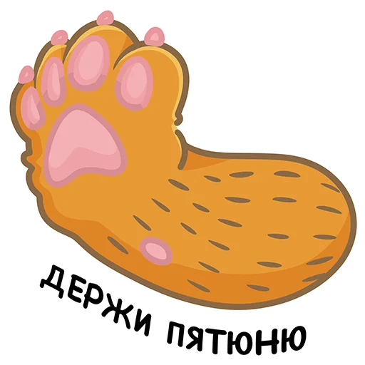 Коты казанские Алабрыс и Мырау батыр emoji 🙏
