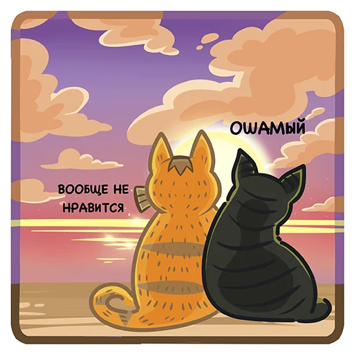Коты казанские Алабрыс и Мырау батыр emoji 😰
