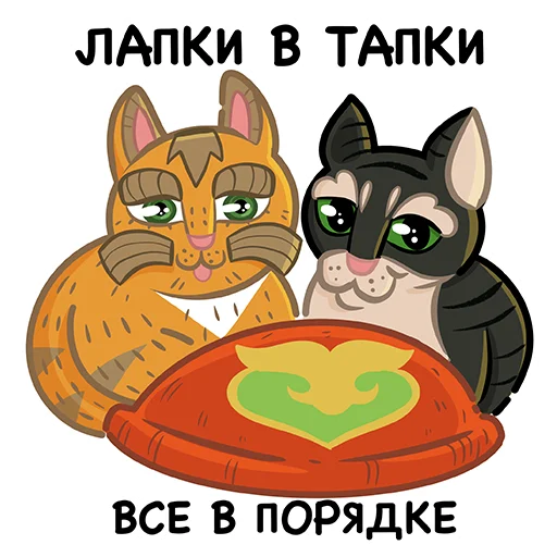 Коты казанские Алабрыс и Мырау батыр emoji 😉