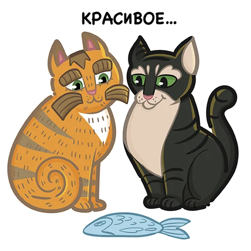 Коты казанские Алабрыс и Мырау батыр emoji 😍