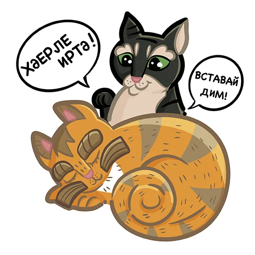 Коты казанские Алабрыс и Мырау батыр emoji 🥱