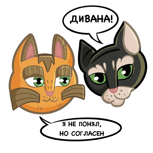 Коты казанские Алабрыс и Мырау батыр emoji 😡