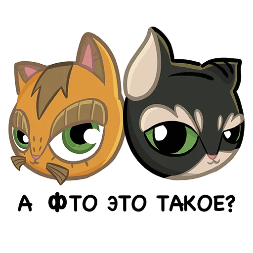 Коты казанские Алабрыс и Мырау батыр emoji ❓