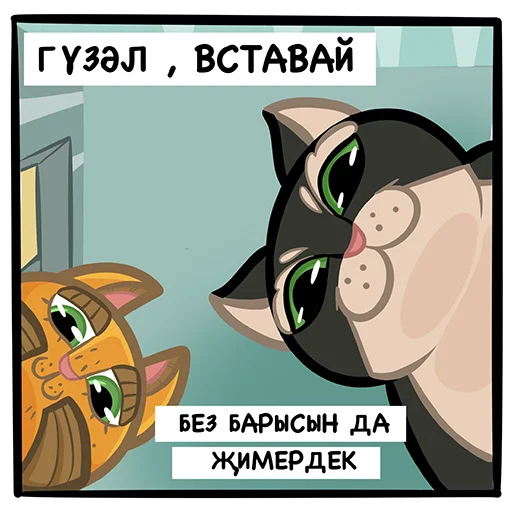 Коты казанские Алабрыс и Мырау батыр emoji 🫠