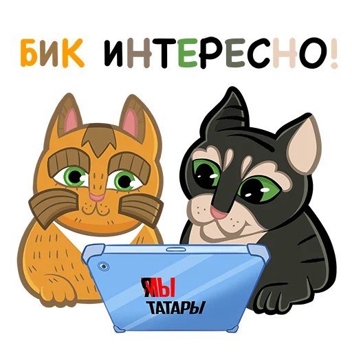 Коты казанские Алабрыс и Мырау батыр emoji 🙂