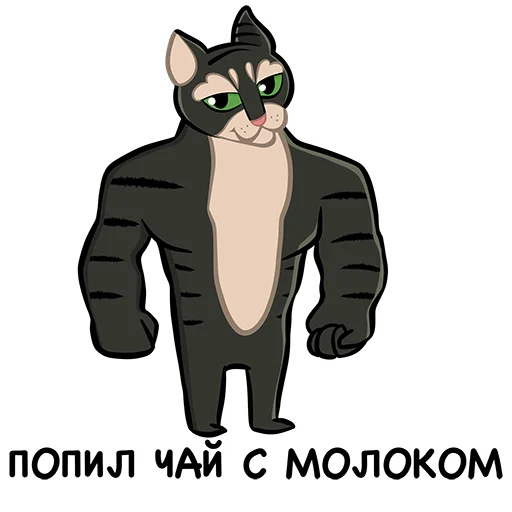 Коты казанские Алабрыс и Мырау батыр emoji 💪