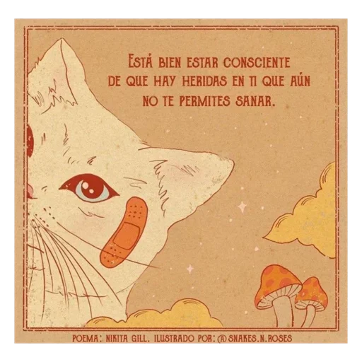 Telegram Sticker «Cats Vision» ✨