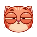 Стикер Catz Emoji 🤨