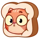 Стікер Catz Emoji 😳