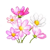 Емодзі Flowers | Цветы 💐