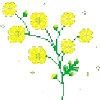 Эмодзи Flowers | Цветы 🌼