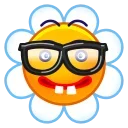 Емодзі Chamomile Emoji 🤓