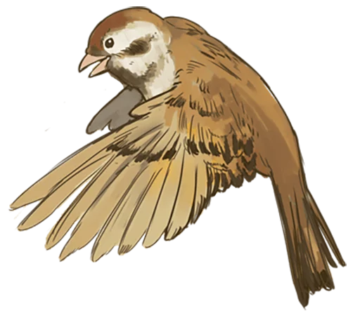 Chik Chirik the sparrow sticker 🐤