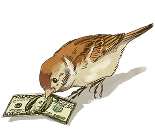 Стікер Telegram «Chik Chirik the sparrow» 💵