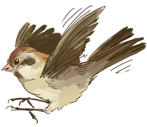 Стікер Telegram «Chik Chirik the sparrow» 🐤