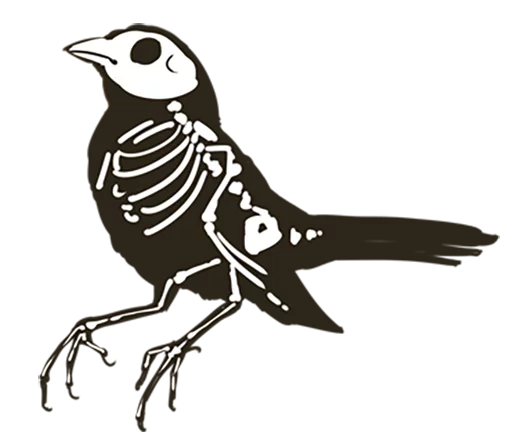 Telegram stiker «Chik Chirik the sparrow» 💀