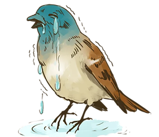 Telegram stiker «Chik Chirik the sparrow» 😭