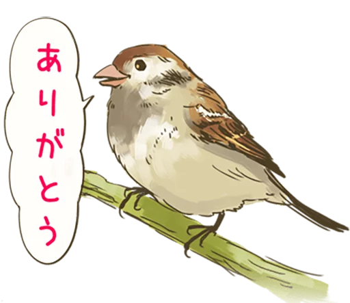 Chik Chirik the sparrow sticker 🐤