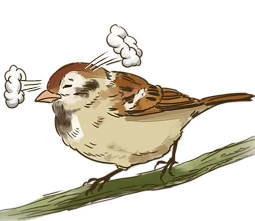 Chik Chirik the sparrow sticker 😠