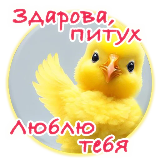 Telegram stickers Crazy Chicken!