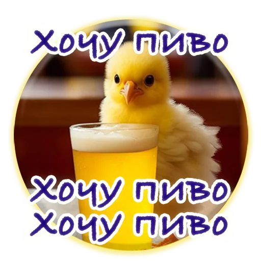Crazy Chicken!  sticker 🙃