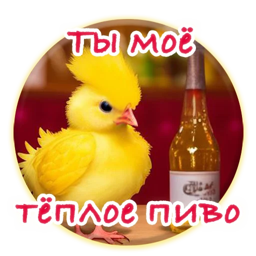 Crazy Chicken!  sticker 😒
