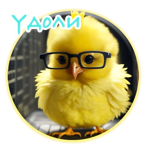 Crazy Chicken! stiker 🐣