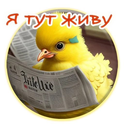 Crazy Chicken! stiker 🤡